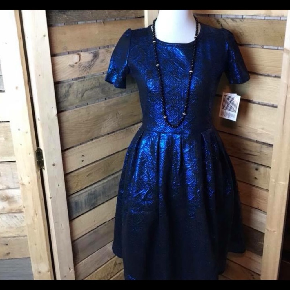 Amelia fit and flare dress, NWT
